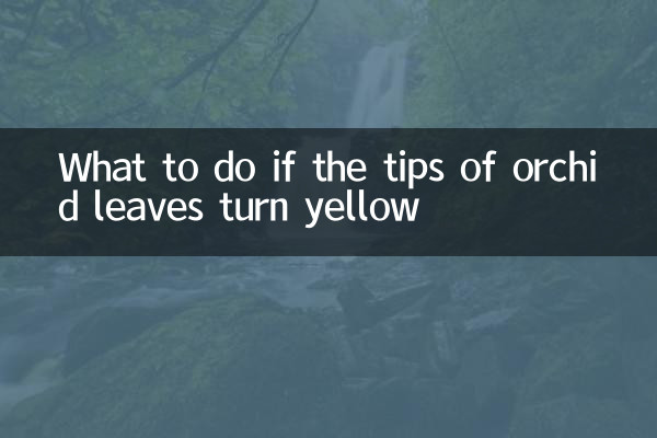 Was tun, wenn die Spitzen der Orchideenblätter gelb werden?