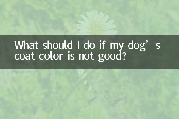 O que devo fazer se a cor da pelagem do meu cachorro não for boa?