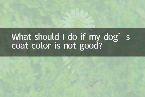 Que dois-je faire si la couleur du pelage de mon chien n’est pas bonne ?