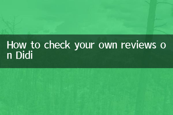 چگونه نظرات خود را در Didi بررسی کنید