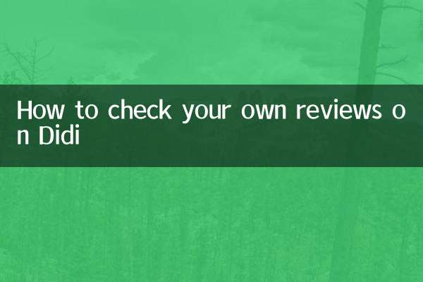 چگونه نظرات خود را در Didi بررسی کنید