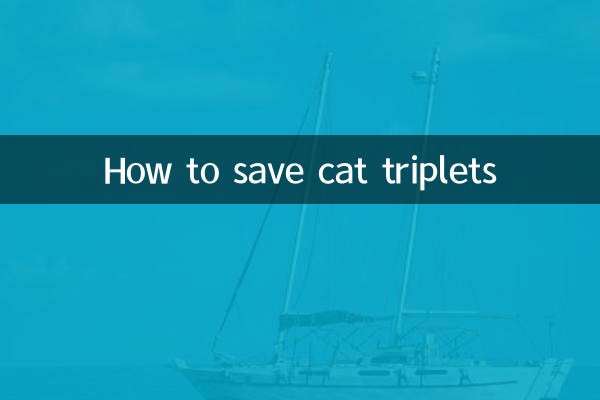 How to save cat triplets