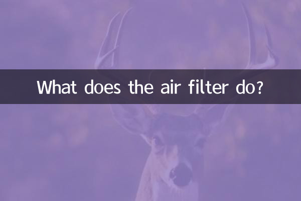 What does the air filter do?
