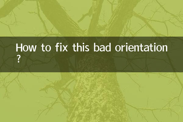 How to fix this bad orientation?