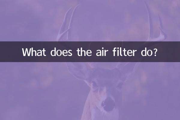 What does the air filter do?