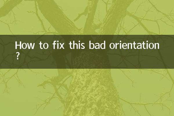 How to fix this bad orientation?