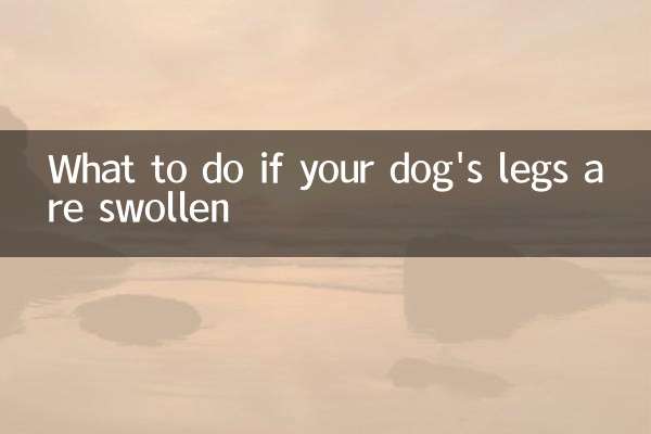 What to do if your dog's legs are swollen