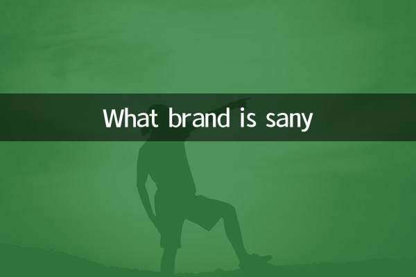 What brand is sany