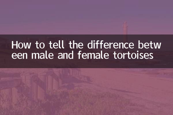 How to tell the difference between male and female tortoises