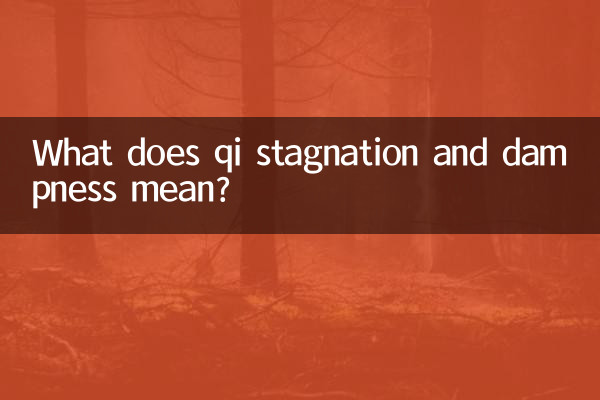 What does qi stagnation and dampness mean?