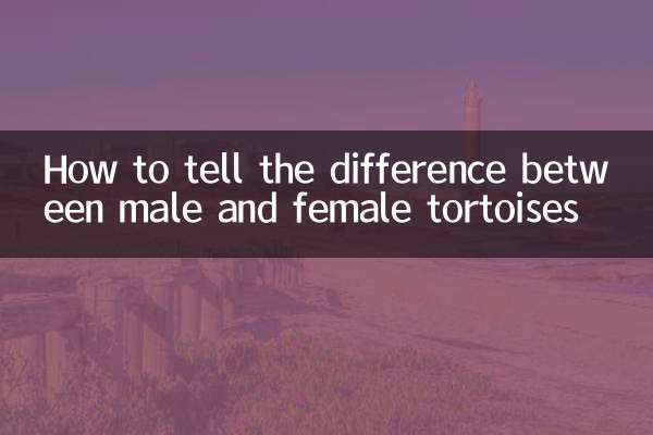 How to tell the difference between male and female tortoises