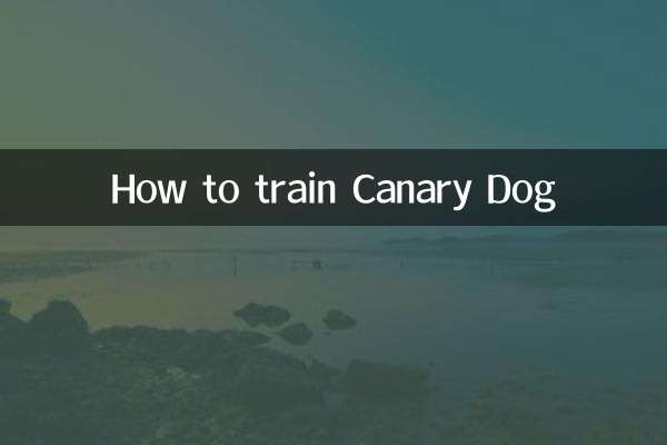 加纳利犬怎么训练