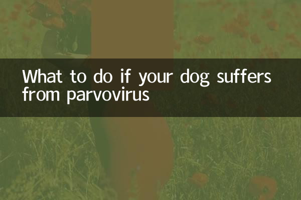Cosa fare se il tuo cane soffre di parvovirus