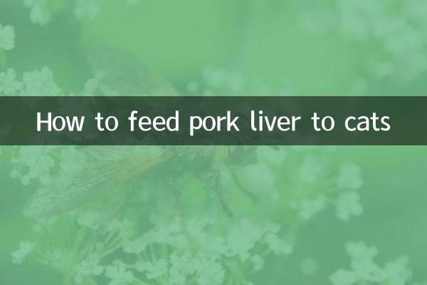 Como alimentar gatos com fígado de porco
