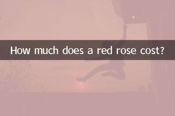 Quanto costa una rosa rossa?