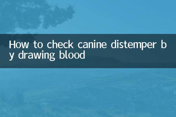 혈액채취로 개 홍역을 확인하는 방법