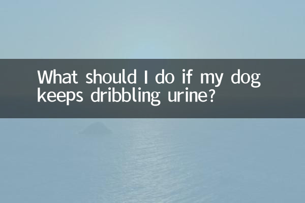 狗狗老是滴尿怎麼辦