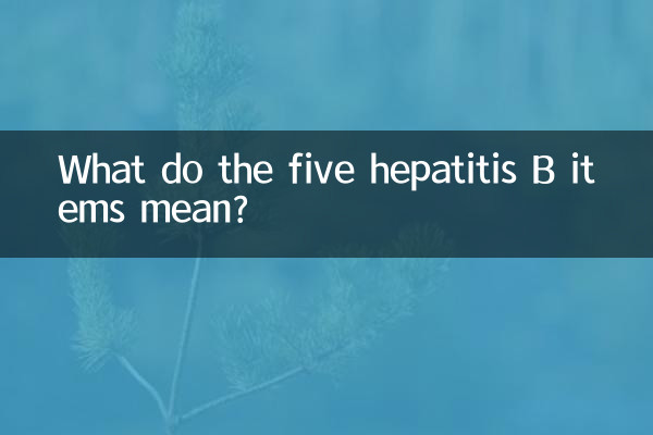 Was bedeuten die fünf Hepatitis-B-Punkte?