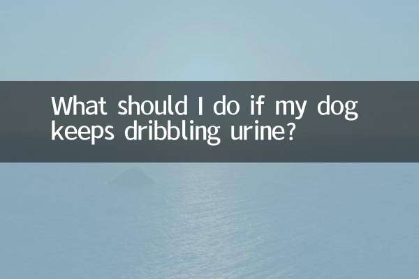 Что делать, если у моей собаки продолжает капать моча?