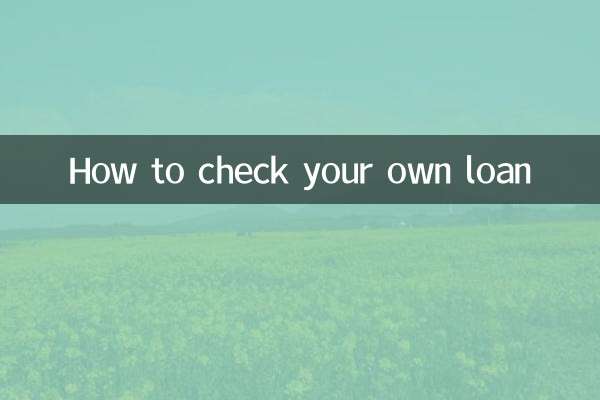 اپنے قرض کی جانچ کیسے کریں