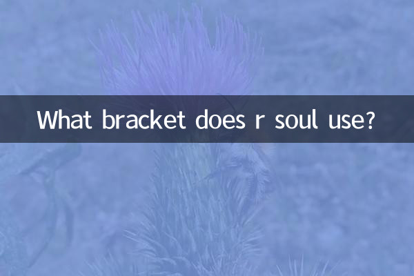 Welche Klammer verwendet R Soul?
