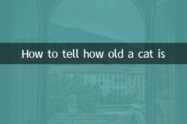 고양이의 나이를 아는 방법