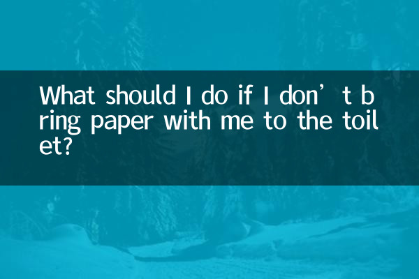 What should I do if I don’t bring paper with me to the toilet?