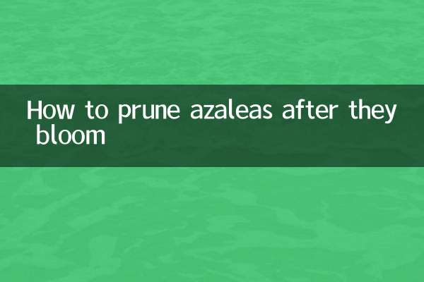 진달래가 핀 후 가지치기 하는 방법