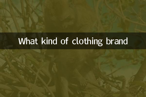 Что за марка одежды