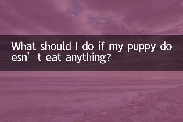 What should I do if my puppy doesn’t eat anything?