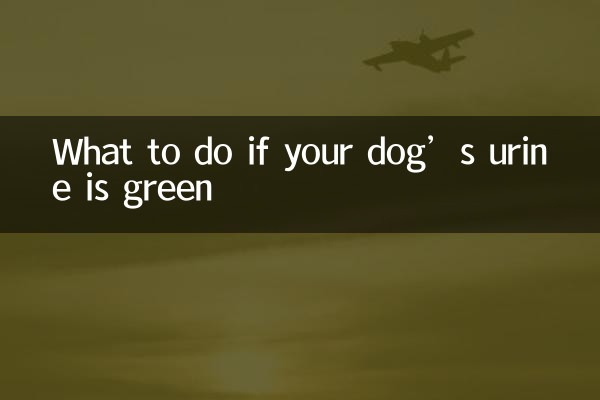 What to do if your dog’s urine is green