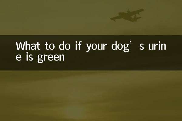 What to do if your dog’s urine is green