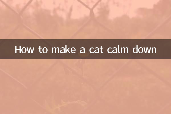 چگونه یک گربه را آرام کنیم