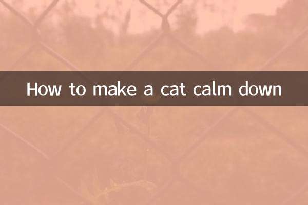 چگونه یک گربه را آرام کنیم