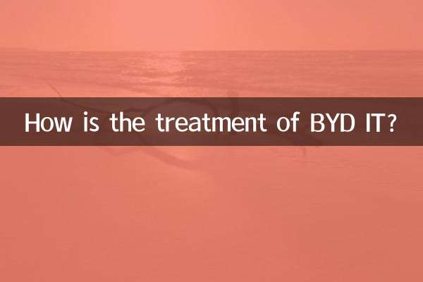 BYD ITの扱いはどうですか？