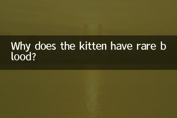 কেন বিড়ালছানা বিরল রক্ত আছে?