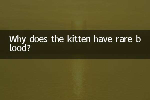 কেন বিড়ালছানা বিরল রক্ত আছে?