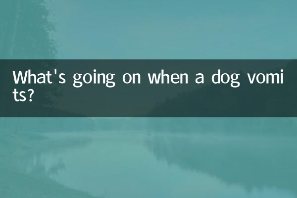 جب ایک کتا الٹی ہوتا ہے تو کیا ہو رہا ہے؟