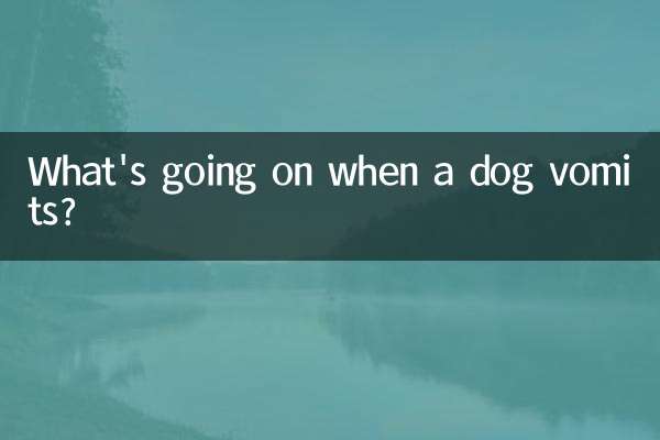 狗狗吐是怎么回事