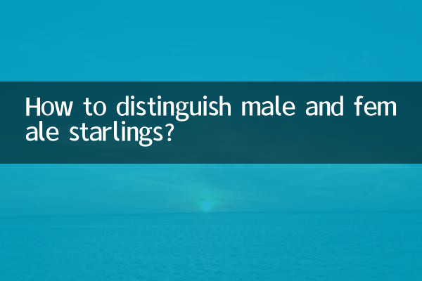 Как отличить скворцов мужского и женского пола?