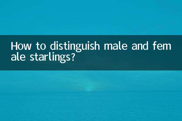 八哥公母怎么分