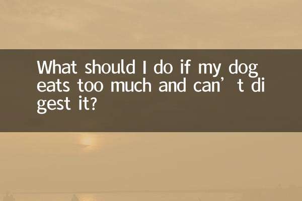 What should I do if my dog eats too much and can’t digest it?