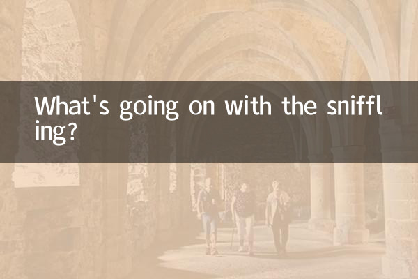 স্নিফলিং দিয়ে কি হচ্ছে?