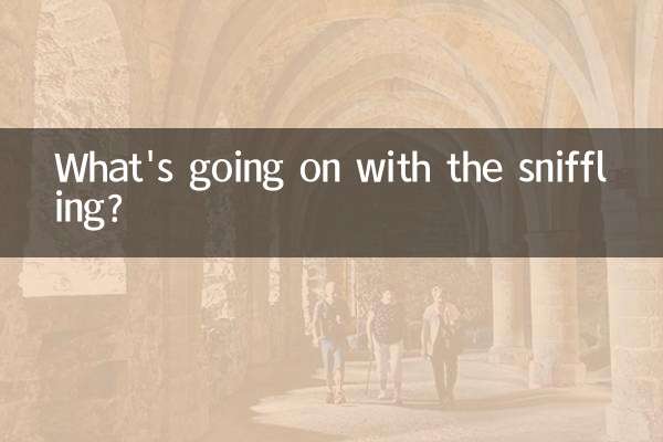 স্নিফলিং দিয়ে কি হচ্ছে?