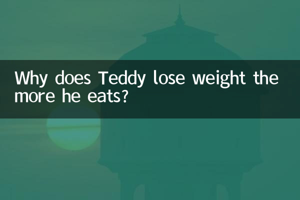 Perché Teddy perde peso più mangia?