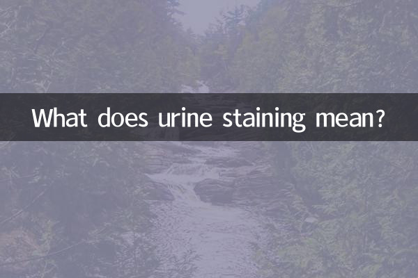 尿染是什麼意思