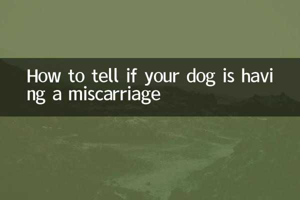 Como saber se sua cadela está tendo um aborto espontâneo