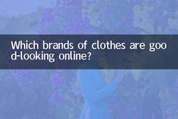 ¿Qué marcas de ropa se ven bien en línea?