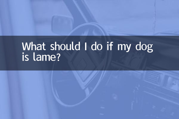 狗狗腳瘸了怎麼辦