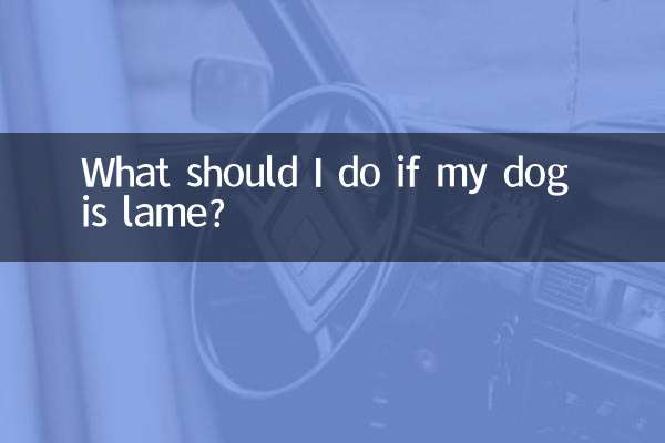 狗狗腳瘸了怎麼辦